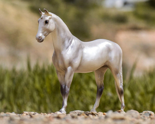 Breyer Horses Classic Size Freedom Series Pearly Grey Trakehner Horse Model 1:12