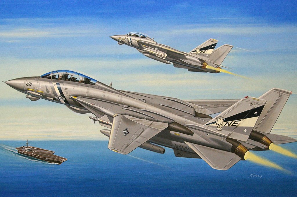 Hobby Boss - F-14D Super Tomcat 1:72