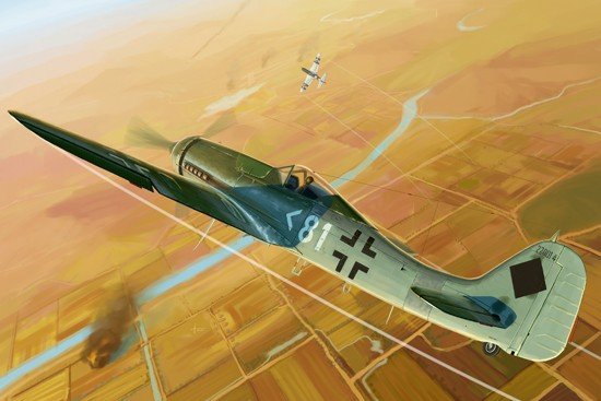 Hobby Boss - Focke Wulf Fw 190D-11 1:48
