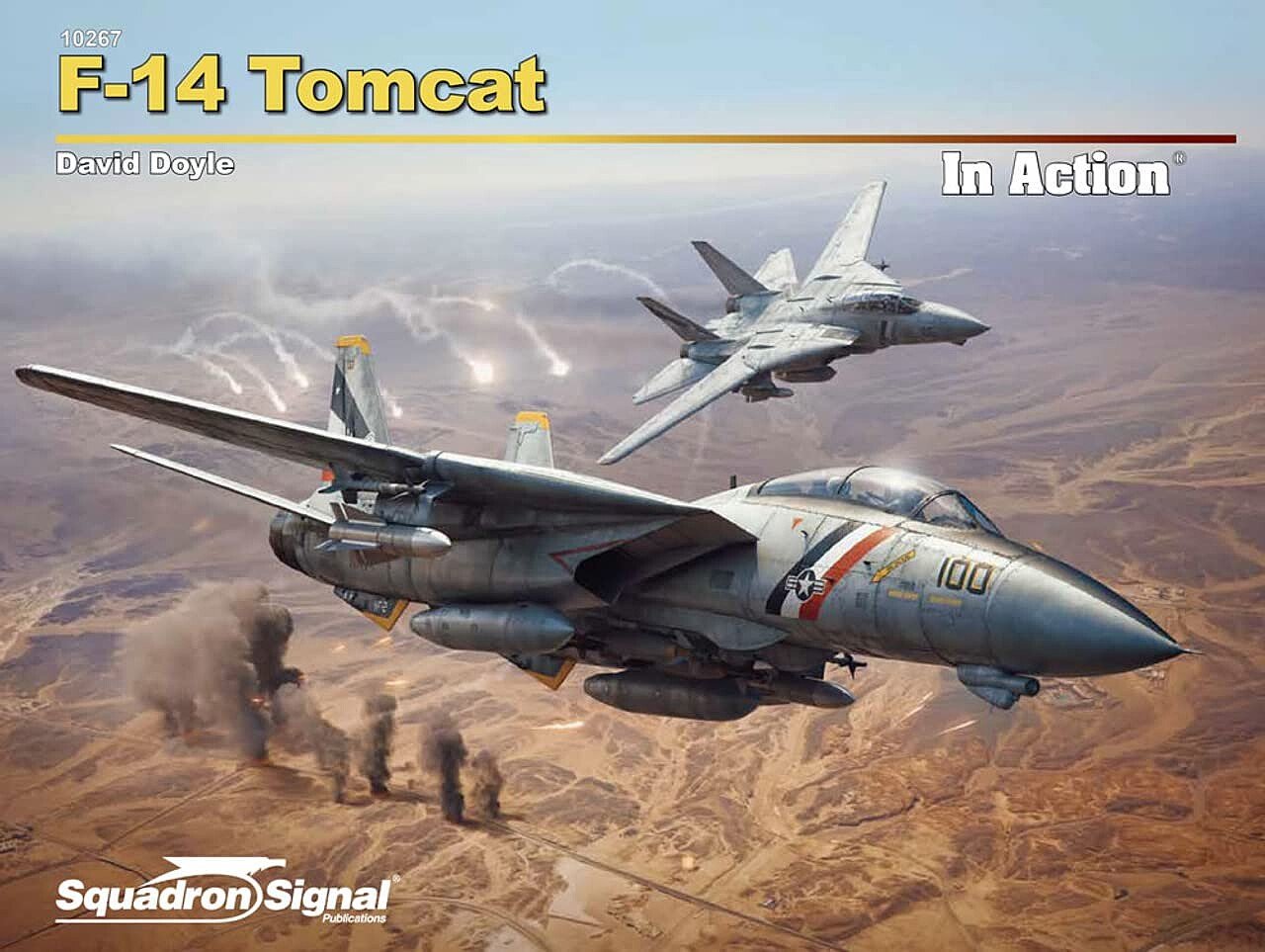 Squadron - F-14 Tomcat in Action