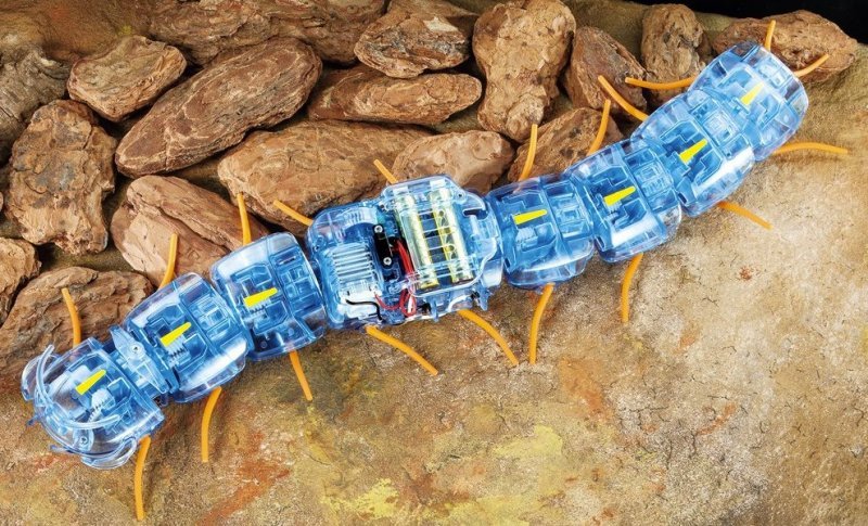 Tamiya - Centipede Robot