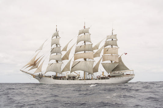 Billing Boats - Danmark Special Edition 1:100 Scale