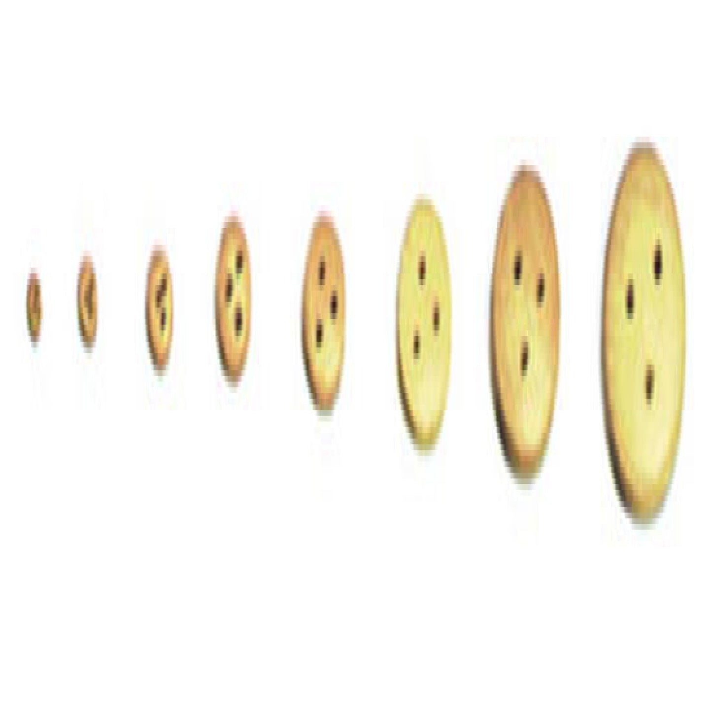 Model Expo - 3/32" (2.5mm) Boxwood Deadeyes 150 pcs