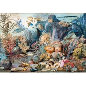 Michele Wilson Puzzles - VIE DE L'OCEAN - (650)