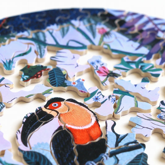 Michele Wilson Puzzles Toucan