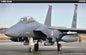 Academy - Usaf F-15E Seymour Johnson :48
