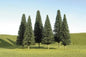 Bachmann - O Pine 8-10'