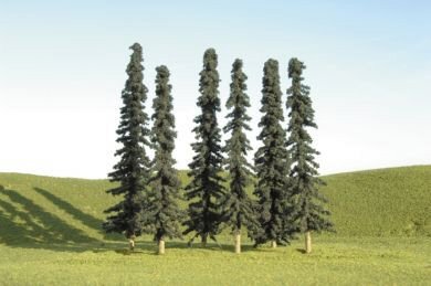 Bachmann - O Conifer 8-10