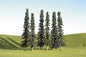Bachmann - O Conifer 8-10