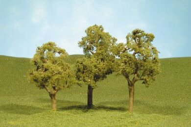 Bachmann - O Elm 5.5'