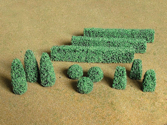 Bachmann - Boxwood Plants