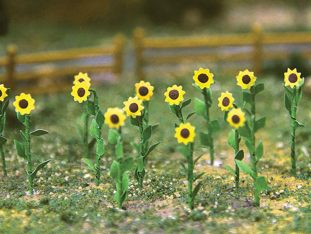 Bachmann - Sunflowers 1'Tall