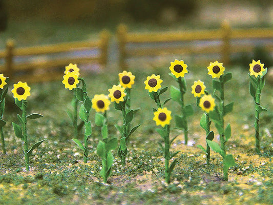 Bachmann - Sunflowers 1'Tall