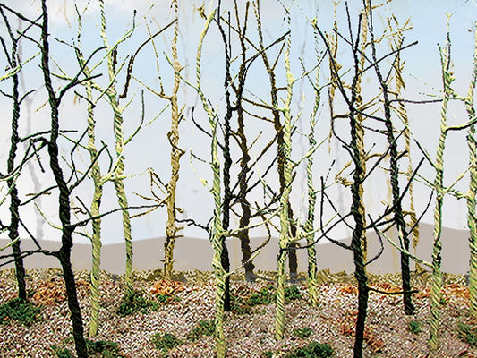 Bachmann - Woods Edge Trees-Bare