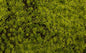 Bachmann - Tufted Grass Mat Light Green