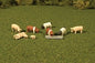 Bachmann - Ho Pigs