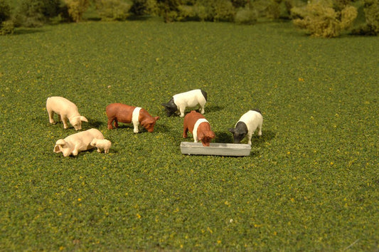 Bachmann - O Pigs