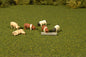 Bachmann - O Pigs