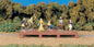 Bachmann - Ho Old West Figures