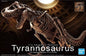 Bandai - Tyrannosaurus Imaginary Skeleton 1:32.
