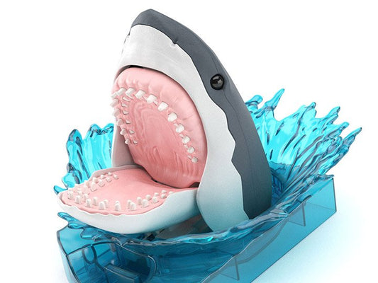 Bandai - Great White Shark Exploring Lab