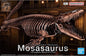 Bandai - Mosassaurus Imaginary Skeleton 1:32