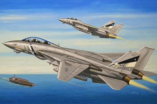 Hobby Boss - F-14D Super Tomcat 1:72