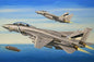 Hobby Boss - F-14D Super Tomcat 1:72
