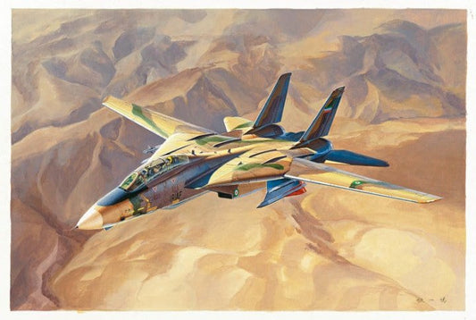 Hobby Boss - Grumman F-14A Tomcat IRIAF 1:48