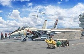 Italeri - F-14A Tomcat 50th First Flight Anni 1:72