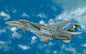 Italeri - F14A Tomcat US Navy Fighter:48