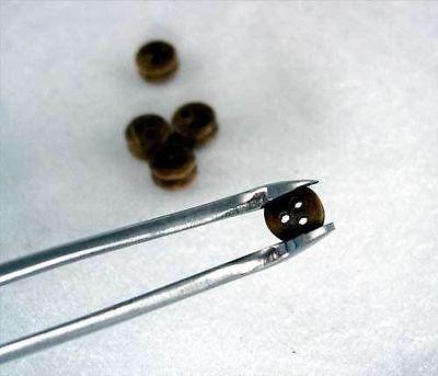 Sona 552TW Deadeye, Pearl, Bead Holding Tweezer