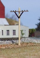 Osborn - Ho Telephone Poles