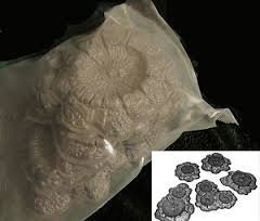 Pegasus - Crater Set Unpainted