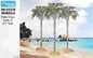 Pegasus - Palm Tree Style A 1:48