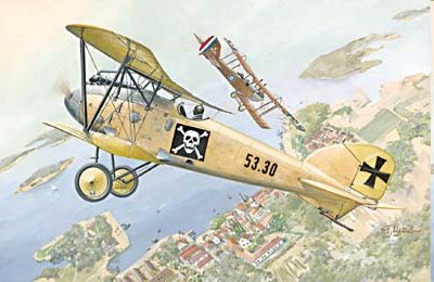 Roden - Albatros D.Iii Eoffag S.53 :72