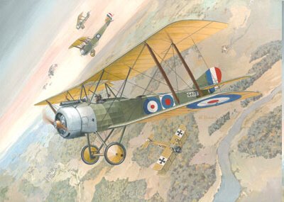 Roden - Sopwith Strutter Fighter 1:48