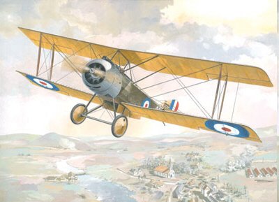 Roden - Sopwith 1 1/2 Strutter Bom :48