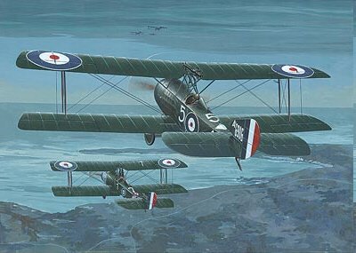 Roden - Sopwith 1 1/2 Strutter Com :48