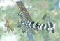 Roden - Fokker D.Vii Early 1:48