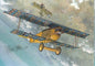 Roden - Fokker D.Vii Late 1:48
