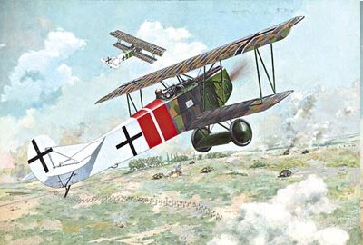 Roden - Fokker D.Vii Alb Late 1:48