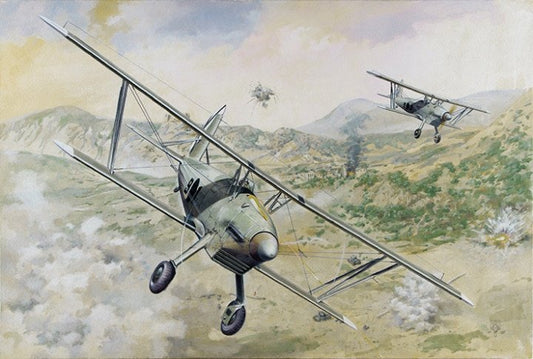 Roden - Arado Ar68E Aircraft 1:48