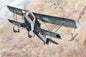Roden - Heinkel He.51 B.1 1:48