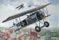 Roden - Fokker D.Vi 1:32