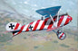 Roden - Albatros D.Iii 1:32