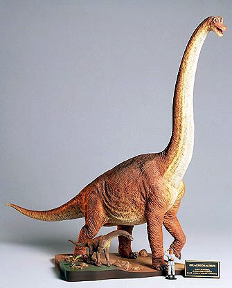 Tamiya - Brachiosaurus Diorama Set