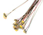 TCS - Sunny White Led W/magnet 10pcs
