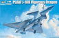 Trumpeter - Plaaf J-10B Vigorous Dragon:48