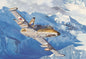 Trumpeter - L39Za Albatro Aircraft 1:48